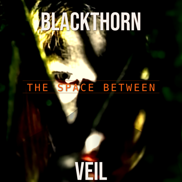 The Space Between - Blackthorn Veil album cover